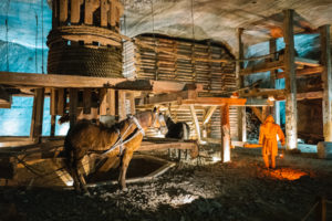 Wieliczka Salt Mine